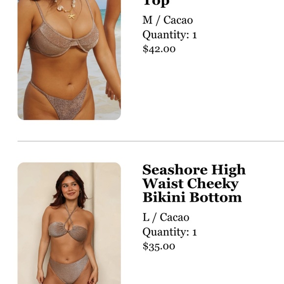 Brown Bikini Set - Picture 3 of 3